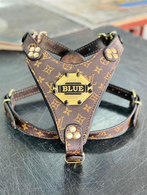 louis vuitton inspired cat harness|For Pets Collection for New .